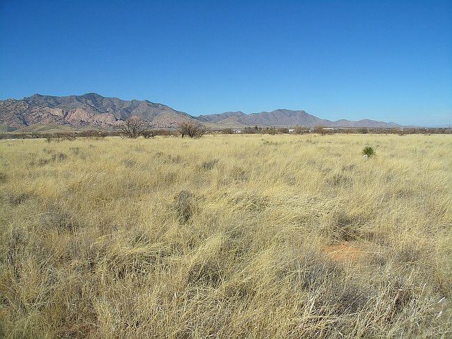 2nd image of 1.13 Acre #For