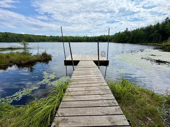 2581 Deer Ln, Pelican Lake, WI 54463