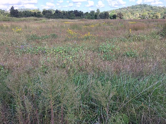 4th image of 11335 Greenville Road Tract #2