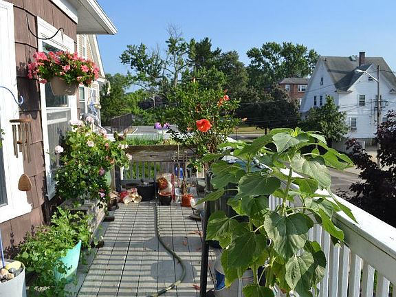 deck