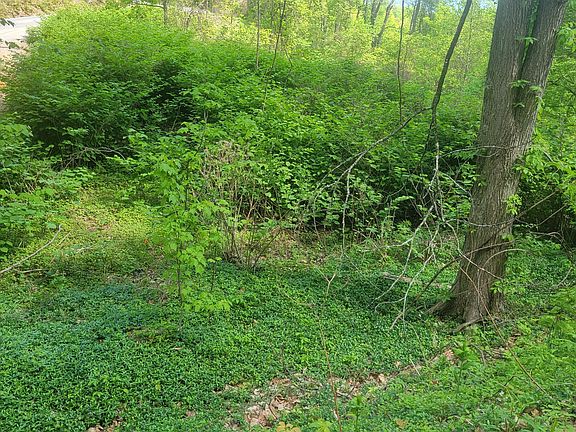 4th image of 0 Arbon Dr #66
