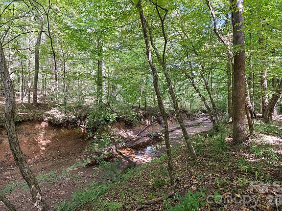 4th image of 630 Turkey Creek Ridge Rd