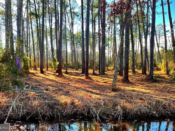 LOT 5 Nevette Muir Rd, Westover, MD 21871