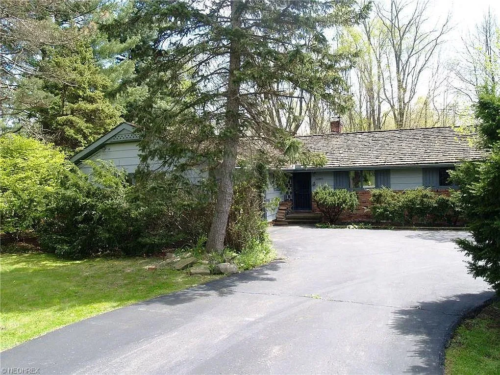 4 bed, 1632 sqft, $3,500 — Photo 2