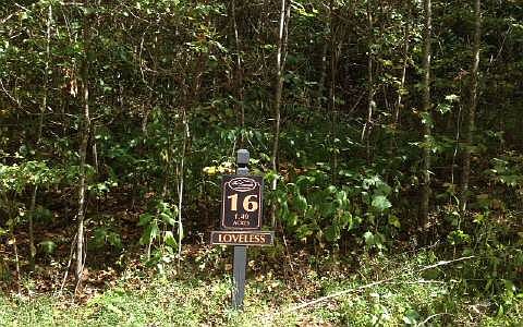 1st image of Crockett Mountain Ln