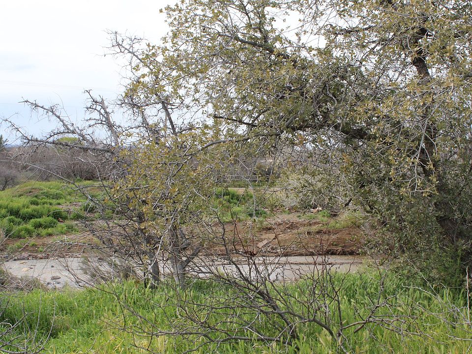 1st image of 13738 S Gold Pan Ln