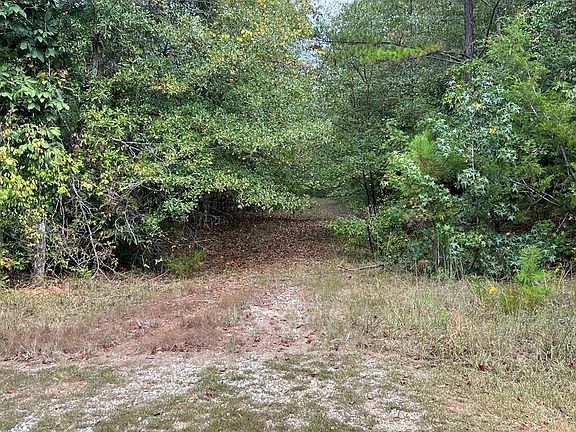 2nd image of 227 River Oaks Dr