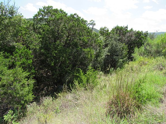 5th image of PR 1734 Lot 114D