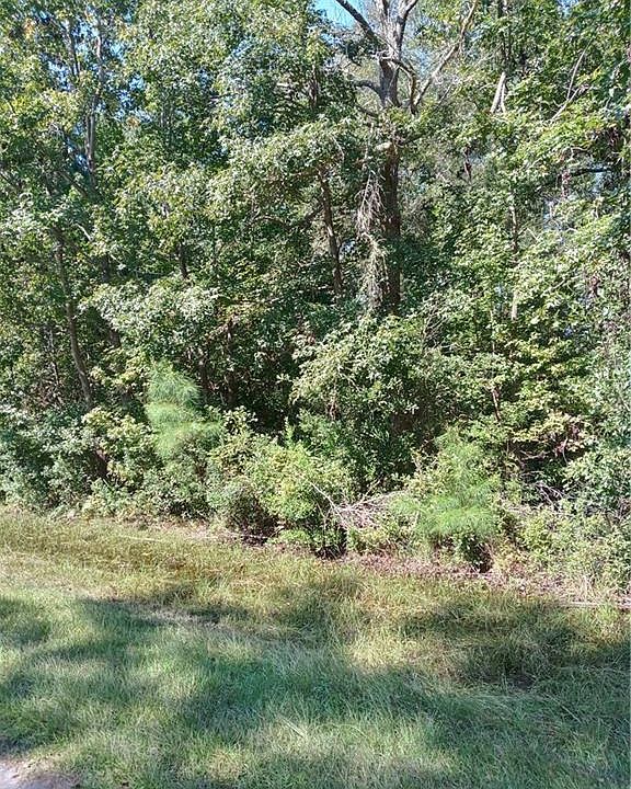 2nd image of 69 Hillery Lake Dr