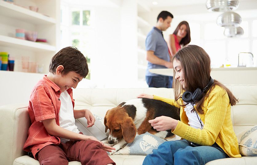 Make Family Memories