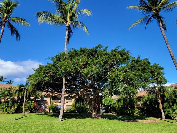 15 Kulanihakoi St APT 18D