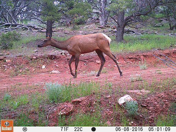 5th image of Tbd Deer Park Ct