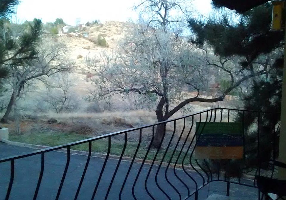 View from the patio.