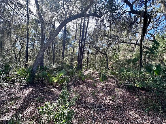 4th image of 126 BROWNS HAMMOCK Road