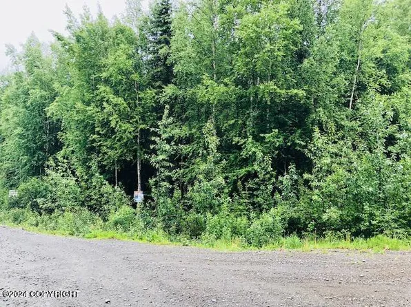 37095 Birkenweg St, Soldotna, AK 99669