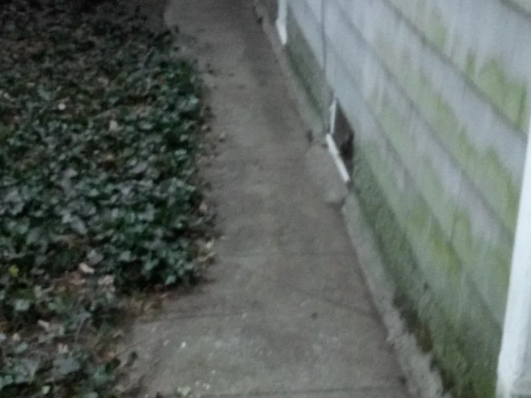 382 Morris Ave — Photo 19