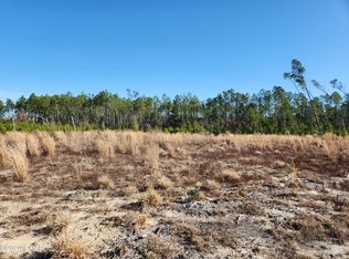 Xx Long Branch Ct, Bristol, FL 32321