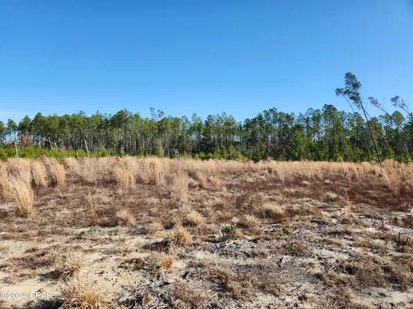 Xx Long Branch Ct, Bristol, FL 32321