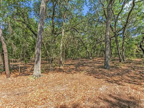 1379 State Road 100, Melrose, FL 32666