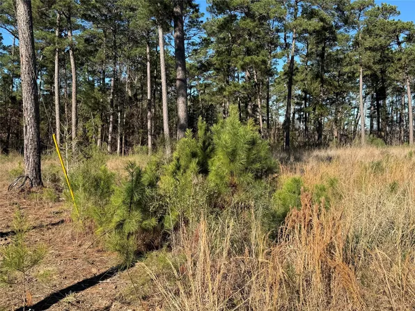 30 Private Road 6026 Unit 1-30, Brookeland, TX 75931