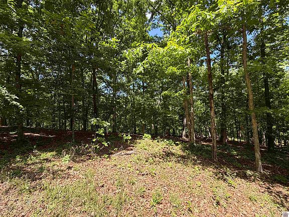 4th image of 0 Daniel Lane Overlook Dr