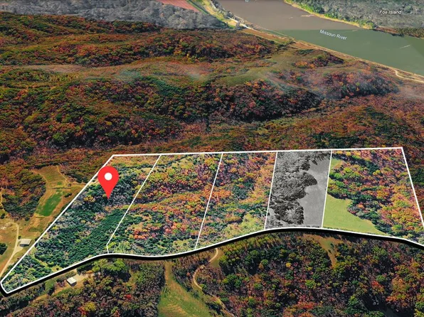 TRACT 5 E Cedar Tree Ln, Hartsburg, MO 65039