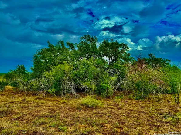 0 County Road 115, Mineral, TX 78102