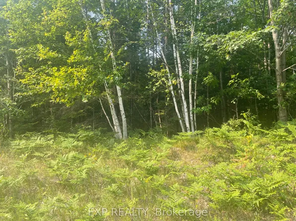 1571 Schutt Rd, Brudenell, Lyndoch And Raglan, ON K0J 2E0