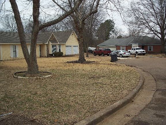 4th image of 5049 Cherry Bark Cv