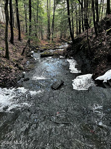 5th image of 181 Gray Road