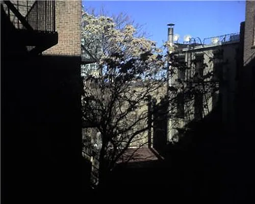 Rented by Chapin Group East | media 31