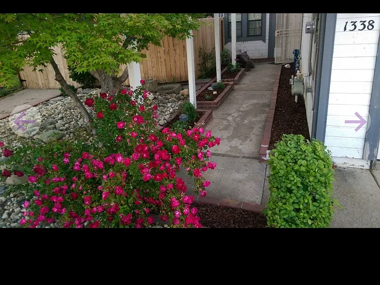 Harness Ct — Photo 20