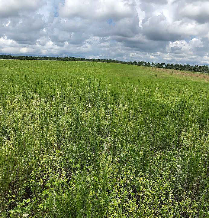 2nd image of Mount Calvary Rd