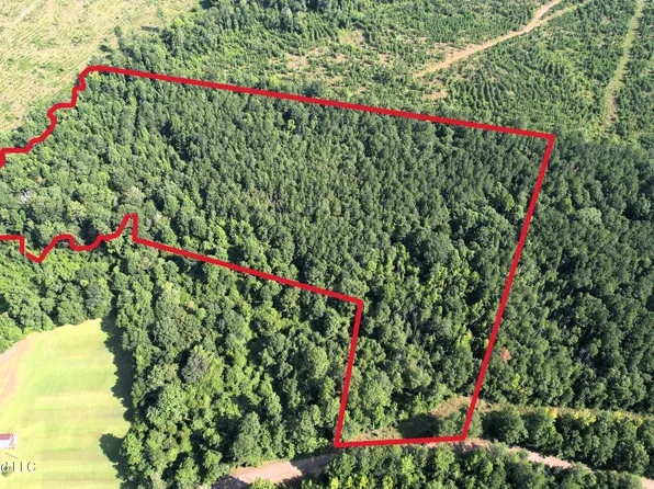 0 NE Pipeline Ln, Sontag, MS 39665