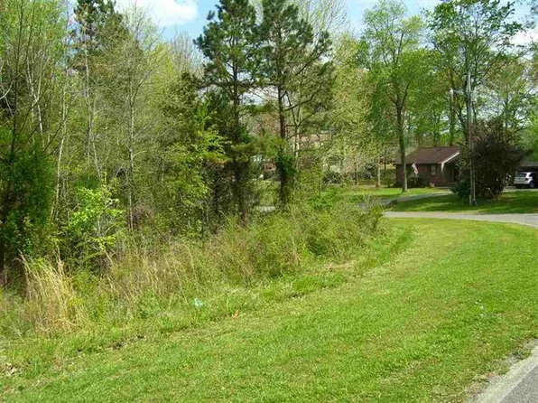 N Ridge Dr, Decatur, TN 37322