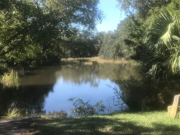 Pond view across street