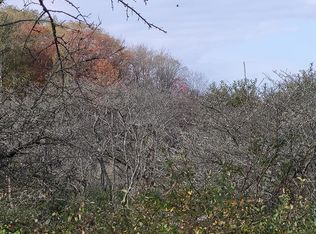 0 N Brookland Rd #449, Genesee, PA 16923