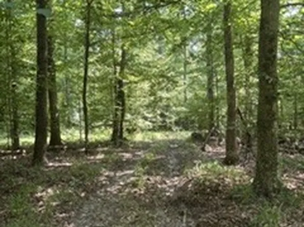 0 Old Union Church Rd, Holladay, TN 38341