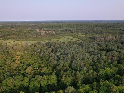 Griffith Rd, Butternut, WI, 54514