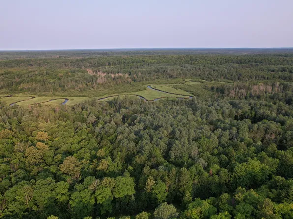 Griffith Rd, Butternut, WI 54514