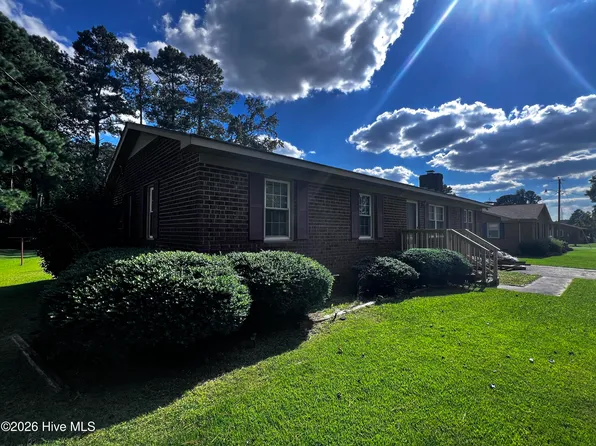 250 Brinkleyville Rd, Ahoskie, NC 27910