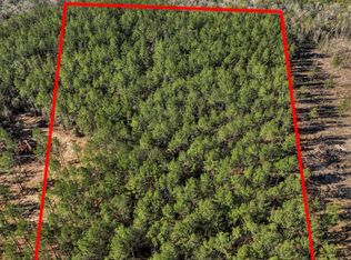 157 Cain Cemetery Rd, Perkinston, MS 39573