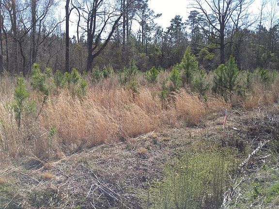 5th image of Rocky Run Road