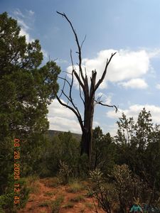 0 County Road B27 Rd, Serafina, NM, 87569