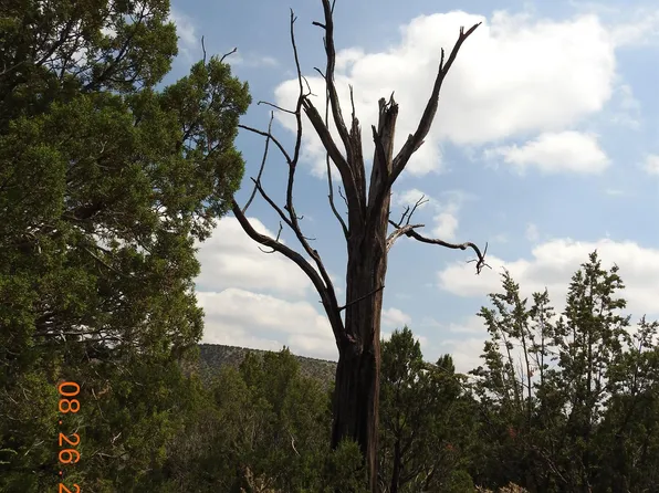 0 County Road B27 Rd, Serafina, NM 87569