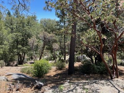 Northridge, Idyllwild, CA, 92549