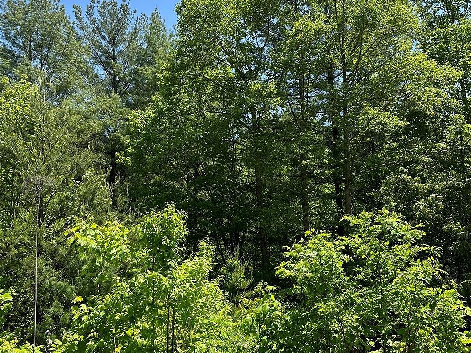 1st image of 26 Carolina Buckthorn Dr