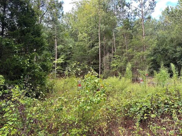 0 Whitesides Rd, Forest City, NC 28043