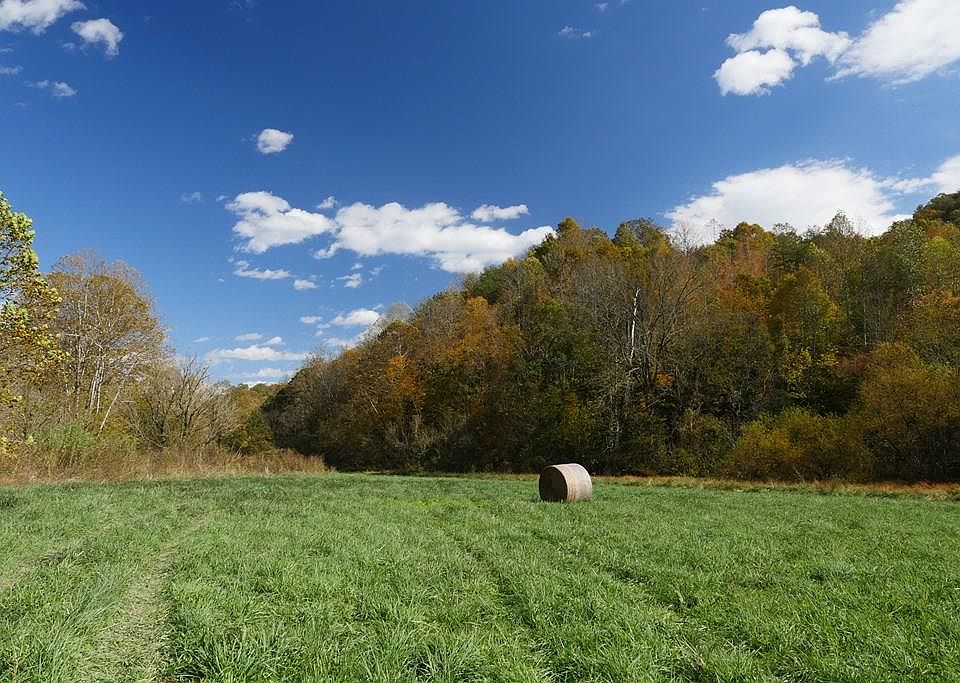 1st image of Fairview Rd