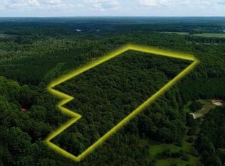 0 N Haze Rd, Beulah, MI 49617